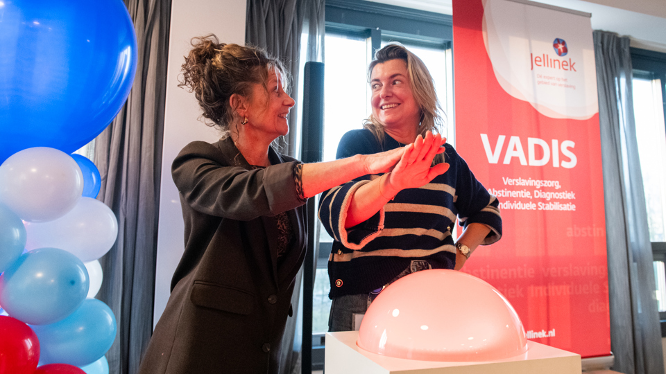 VADIS 19 01 2026 242