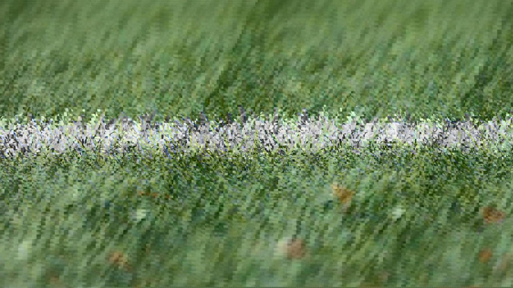 Pexels Fabtruji 54567