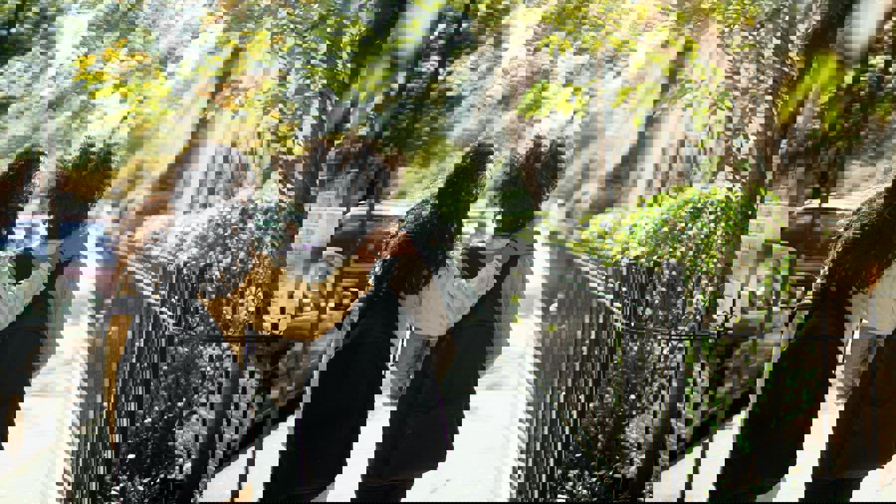 Pexels Mary Taylor 5896916